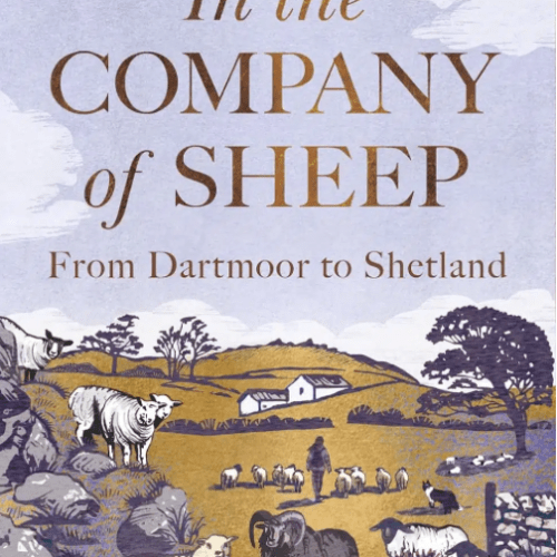 In the Company of Sheep